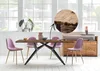 TPFLiving Tisch 200x100 cm Platte recyceltes Teak, Gestell Produktbild-Vorschau 3