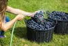 25L Glasgärballon mit Kunststoffkorb + Gärröhrchen aus Glas Produktbild-Vorschau 5