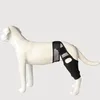 INF Tutore Posteriore Traspirante per Zampe di Cane L Anteprima dell’immagine prodotto 2