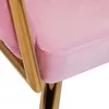 4Rico stoel QS-GW06G, fluweel, roze Productafbeelding-voorbeeld 6