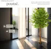 Umělý fíkus Fida, realistická textura - 180 cm Náhled obrázku produktu 6