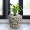 Rattan Pflanztopf mit Kunststoff Einsatz - 33 x 24 cm - Produktbild-Vorschau 4