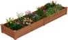 COSTWAY Hochbeet Holz, Gartenbeet mit 2 Pflanzkästen und Produktbild-Vorschau 1