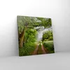 Bild auf Leinwand - Leinwandbild - Pfad Natur Wald Grün - Produktbild-Vorschau 4