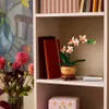 LEGO Botanicals Mini-Orchidee - Bauset für Erwachsene - Produktbild-Vorschau 39