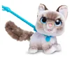 FurReal Wag-a-lots Kitty, Chlapec / dievča, 4 rok / roky, Náhľad obrázku produktu 16
