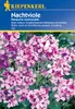Nachtviole | Blumensamen von Kiepenkerl Produktbild-Vorschau 1