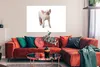 MuchoWow® Poster Schwein - Tiere - Weiß 120x80 cm - Bilder Produktbild-Vorschau 2