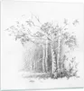 Bilder auf glas - Einteilig - Skizze Wald Birke - 70x70cm - Produktbild-Vorschau 1