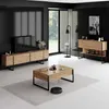 Skye Decor, Luxe - Atlantic Pine, Black, mobile TV, pino Anteprima dell’immagine prodotto 5