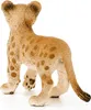 schleich WILD LIFE 14813, 3 rok / roky, Safari, Wild Náhľad obrázku produktu 3