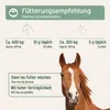 AniForte MSM Pulver für Pferde 1,5 kg - Hochreines Produktbild-Vorschau 5