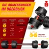 RE:SPORT® Sada činiek 20 kg Činka Sada činiek Kotúče na Náhľad obrázku produktu 4
