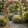 Arche jardinière d'extérieur pour jardin, H 230 cm, avec Voir les images du produit 2