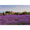 UHU 53175 Scheda di ricarica UHU LAVENDEL per magnete Anteprima dell’immagine prodotto 3