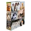 HERMA Motivordner "Animals" DIN A4 Hunde Produktbild-Vorschau 8