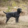 Back on Track Bark All-round Hundemantel Produktbild-Vorschau 4