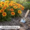 Perlite Grob ca. 10 Liter – Natürliches Vulkangestein zur Produktbild-Vorschau 7