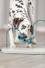 TRIXIE Skills Loop - diverse - 43 cm Produktbild-Vorschau 3