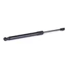 RIDEX 219G0528 Gasfeder Heckklappendämpfer für MITSUBISHI Produktbild-Vorschau 4