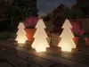 Paulmann Plug & Shine LED Lichtobjekt Tree Produktbild-Vorschau 5