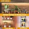 Collage of images showing plants in different settings, with text overlays describing features and uses. Náhľad obrázku produktu
