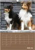 SHELTIES Herzensbrecher auf 4 Pfoten (Wandkalender 2026 DIN Produktbild-Vorschau 9