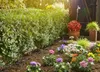 Gardena 01362-20 Gardena Micro-Drip-System Tropfr 4,6 mm Productafbeelding-voorbeeld 13
