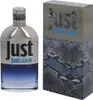 Roberto Cavalli Just Cavalli Him 2013 Eau de Toilette für Produktbild-Vorschau 20