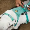 Ruffwear Hi & Light™ Hundehalsband Produktbild-Vorschau 7