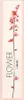 Kenzo Flower Ikebana by Kenzo Eau de Parfum 75ml Produktbild-Vorschau 6