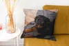 MuchoWow® Zierkissen Sofakissen Wohnzimmer Dekokissen 45x45 Produktbild-Vorschau 6