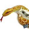 Goldpython HONEY Albino Schlange Plüschschlange Python gelb Produktbild-Vorschau 3