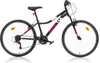 Damenfahrrad Dino Bikes 26" gepolstert Produktbild-Vorschau 1