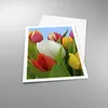 Poster - Poster ohne Rahmen - Tulpen Blumenstrauß Blumen Produktbild-Vorschau 3