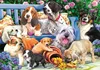 Puzzle 1000 Teile Hunde im Garten Produktbild-Vorschau 2