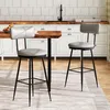 ProximaX Barhocker 2er Set, Barstuhl, Küchenstuhl, Produktbild-Vorschau 2