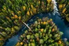 Muralo XXL Selbstklebende FOTOTAPETE WALD Fluss Aussicht Produktbild-Vorschau 2