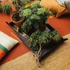 Pflanzmatte / zusammenklappbar – FS-1071304 Produktbild-Vorschau 8