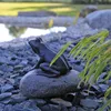 CLGarden Wasserspeier Figur Frosch auf Stein für Produktbild-Vorschau 2