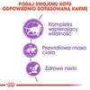 Royal Canin Sterilised 7+, Senior, 10 kg Náhled obrázku produktu 6