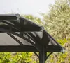 Close-up of the roof structure of an outdoor shelter, likely a carport or gazebo, with foliage in the background. Voir les images du produit