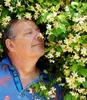 BALDUR Garten 1x Winterharter Jasmin 'Star of Toscane®' Produktbild-Vorschau 3
