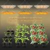 A collage showing grow lights and plants at different stages of growth. Produktbild-Vorschau