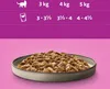 WHISKAS Adult 1+ Pure Delight Katzennassfutter 80 Produktbild-Vorschau 2