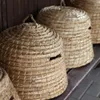 Esschert Design Bienenkorb; C2041 Produktbild-Vorschau 11