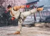 Bandai Tamashii Nations Street Fighter S.H. Figuarts Produktbild-Vorschau 6