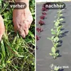 A split image showing a person weeding on the left and young plants growing on black landscape fabric on the right. Produktbild-Vorschau