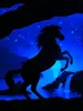 Schwarzlicht Poster | Black Beauty | 64x90cm | ungerahmt | Produktbild-Vorschau 2