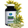 Echte Goldrute Solidago Goldrutenkraut 720 (4x180) Kapseln Produktbild-Vorschau 9
